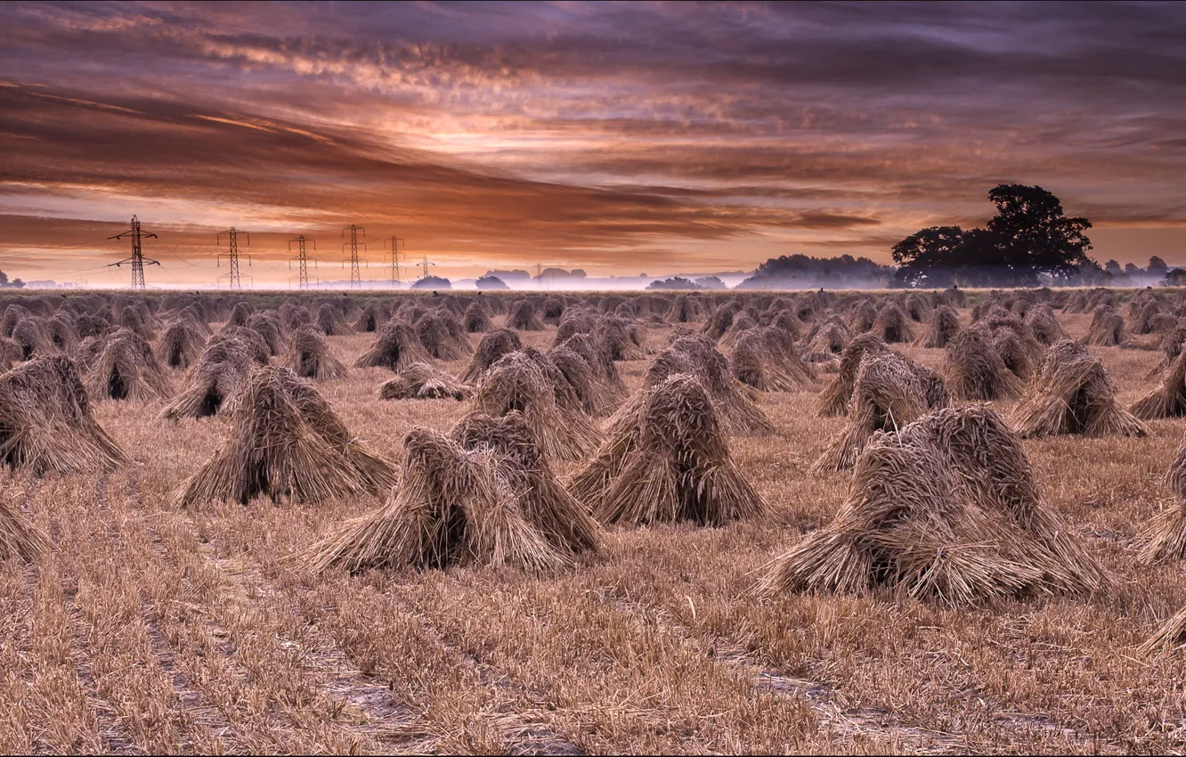 Photo wallpaper field, landscape, hay