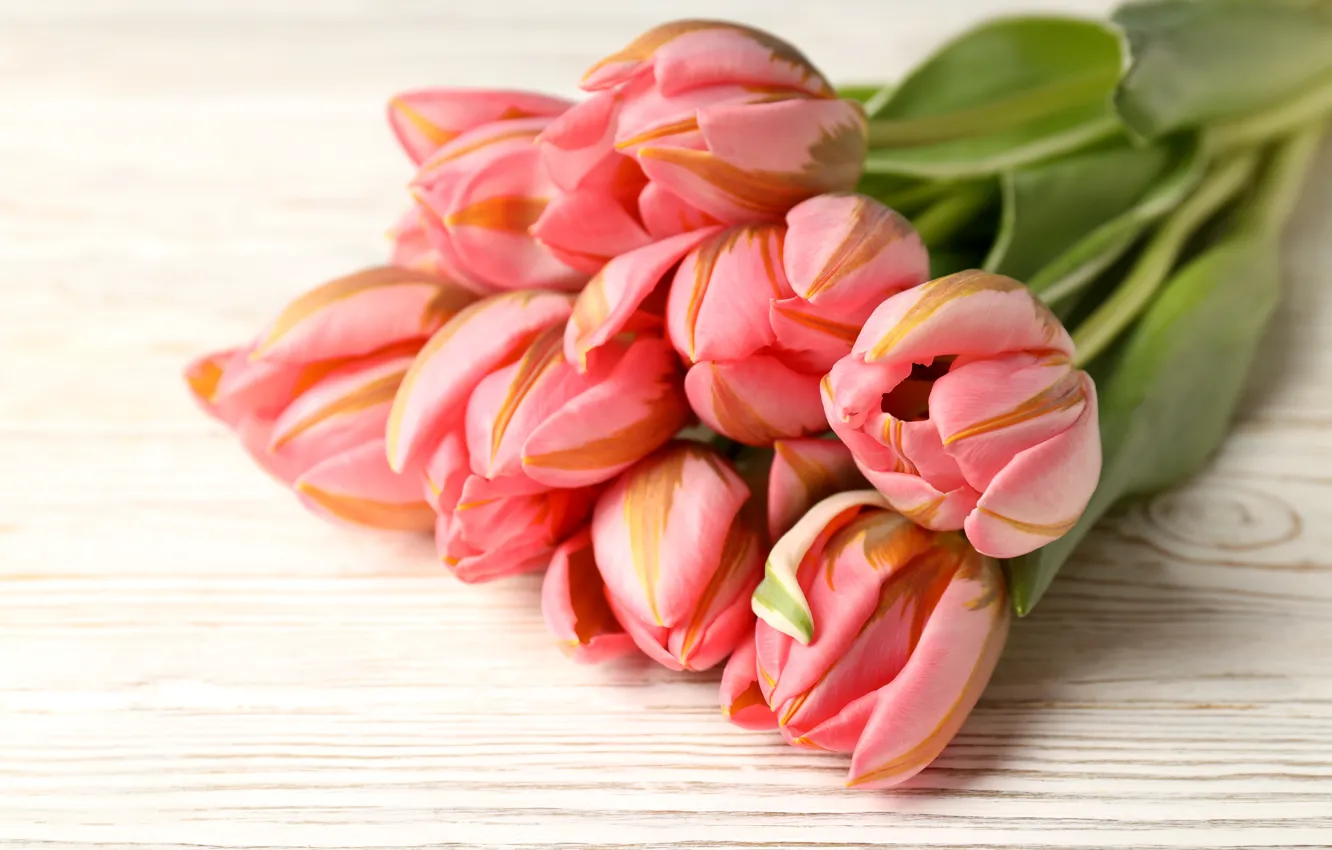 Photo wallpaper flowers, bouquet, tulips, pink, flowers, tulips, spring, bouquet