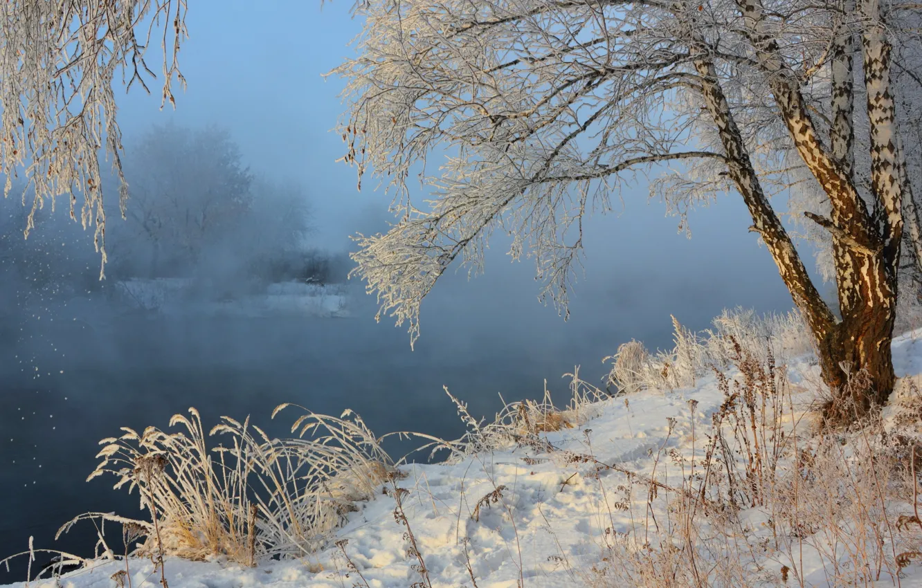 Photo wallpaper winter, snow, landscape, nature, fog, river, birch