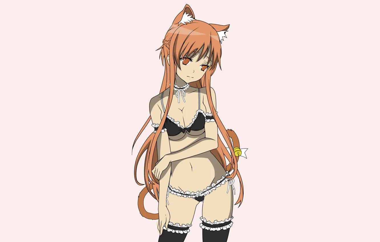 Photo wallpaper girl, sexy, lingerie, bra, cleavage, panties, thighhighs, long hair