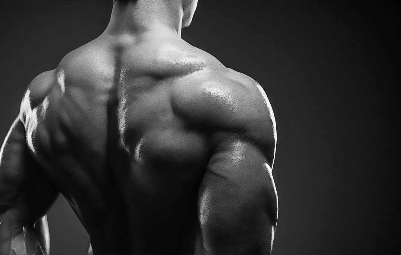 Photo wallpaper bodybuilder, muscle mass, back muscles