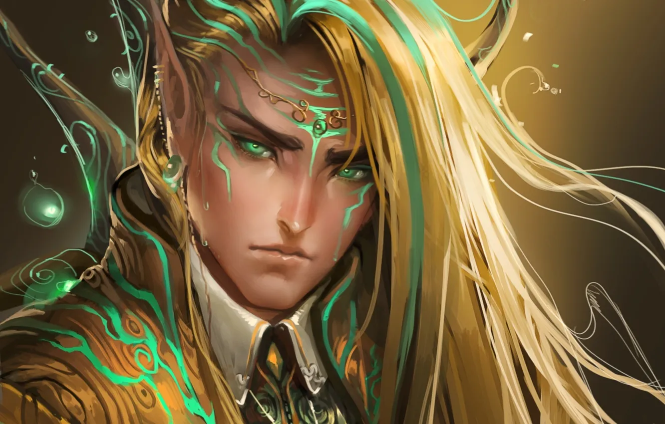 Photo wallpaper elf, art, guy, ears, sakimichan