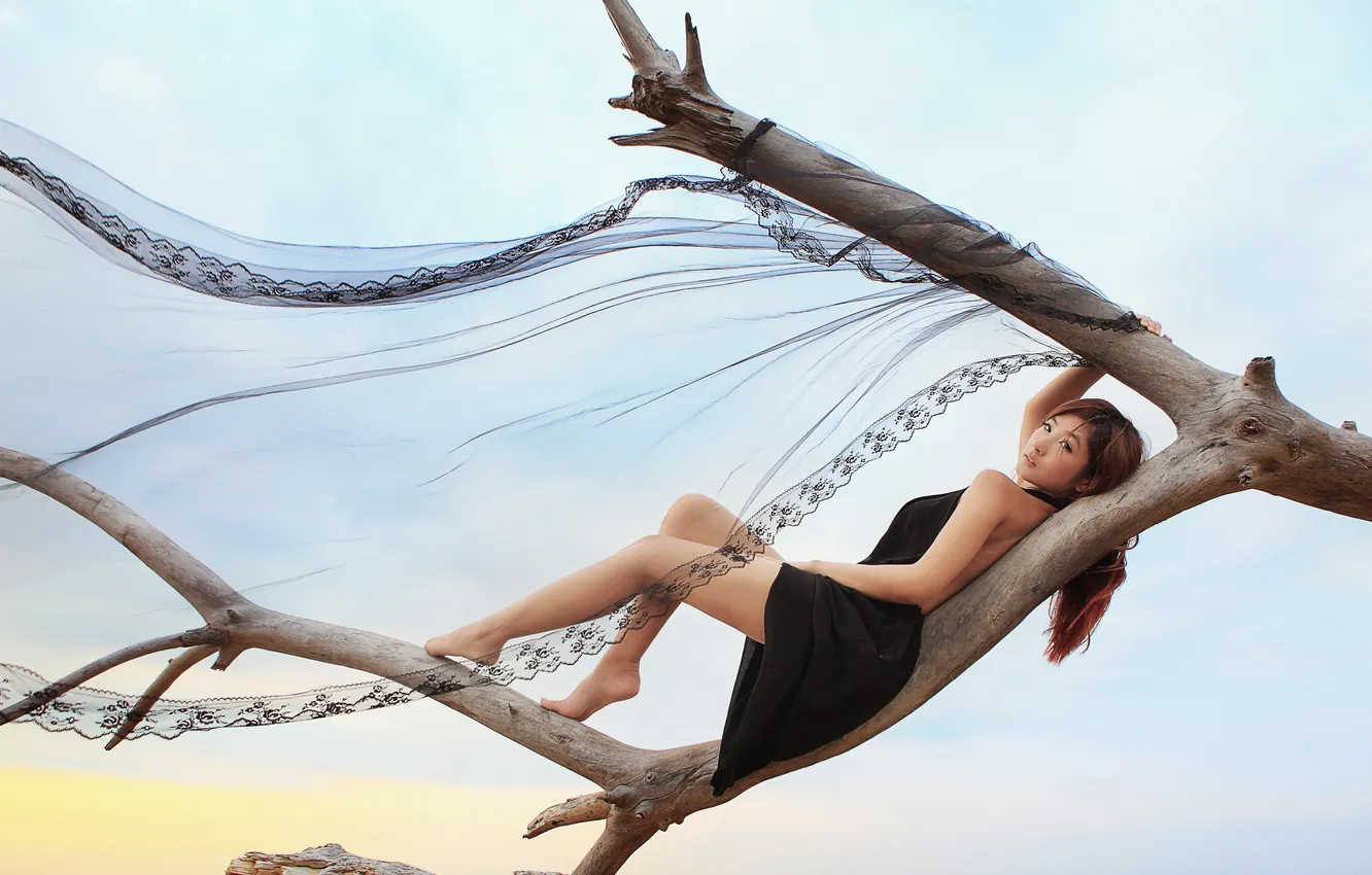 Photo wallpaper girl, pose, background