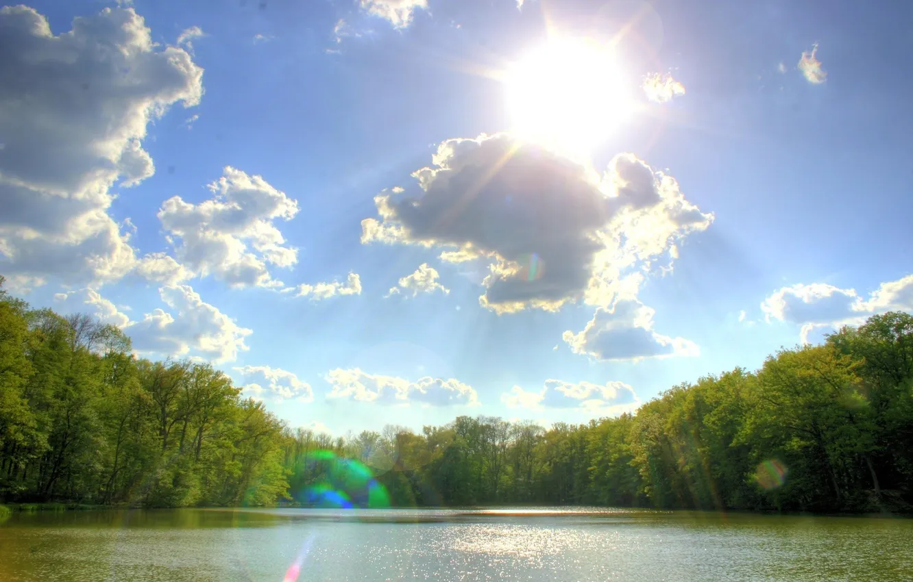 Photo wallpaper forest, summer, the sky, the sun, clouds, river, shore