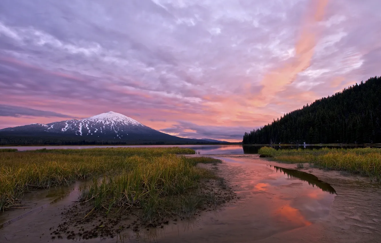 Photo wallpaper forest, sunset, lake, mountain, Oregon, USA