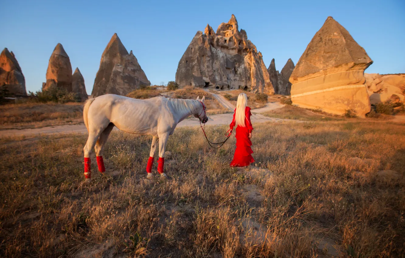 Photo wallpaper girl, mood, rocks, horse, red dress