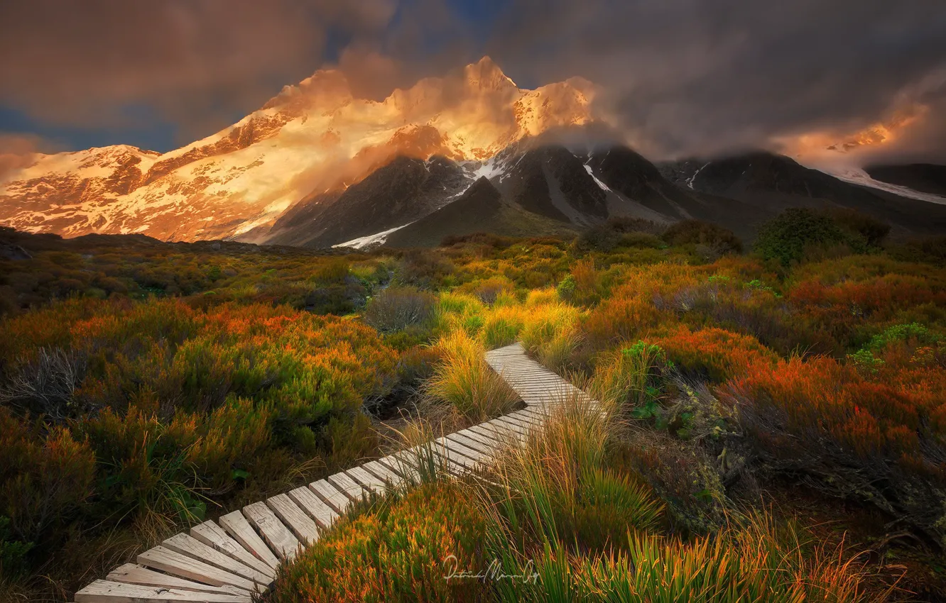 Photo wallpaper grass, clouds, mountains, mountain, trail, the bushes