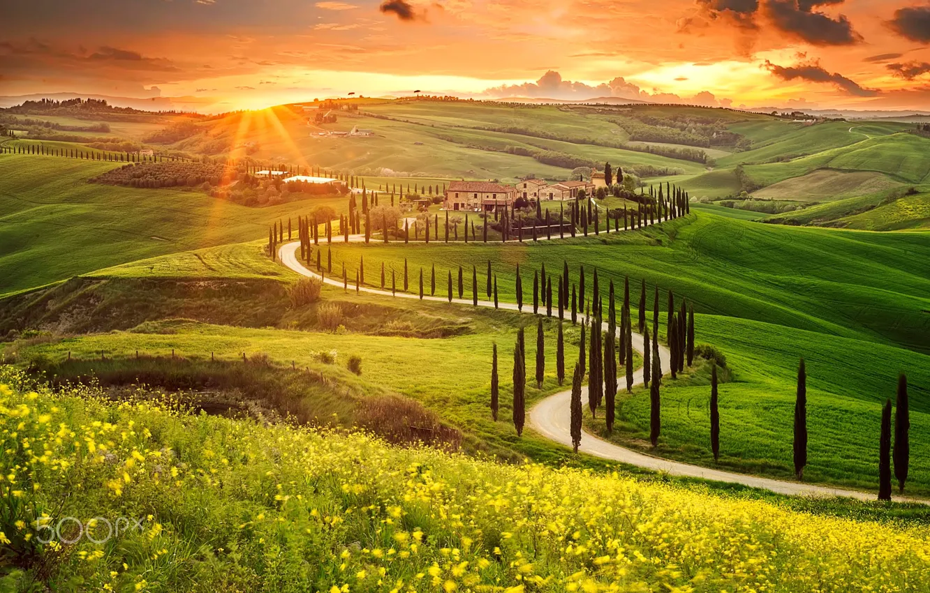 Photo wallpaper the sun, valley, Italy, Tuscany, derevya