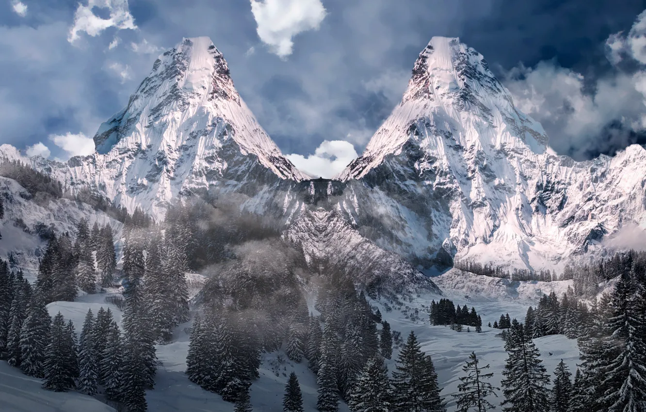 Photo wallpaper forest, winter, mountains, mountain, snow, highland, alpine