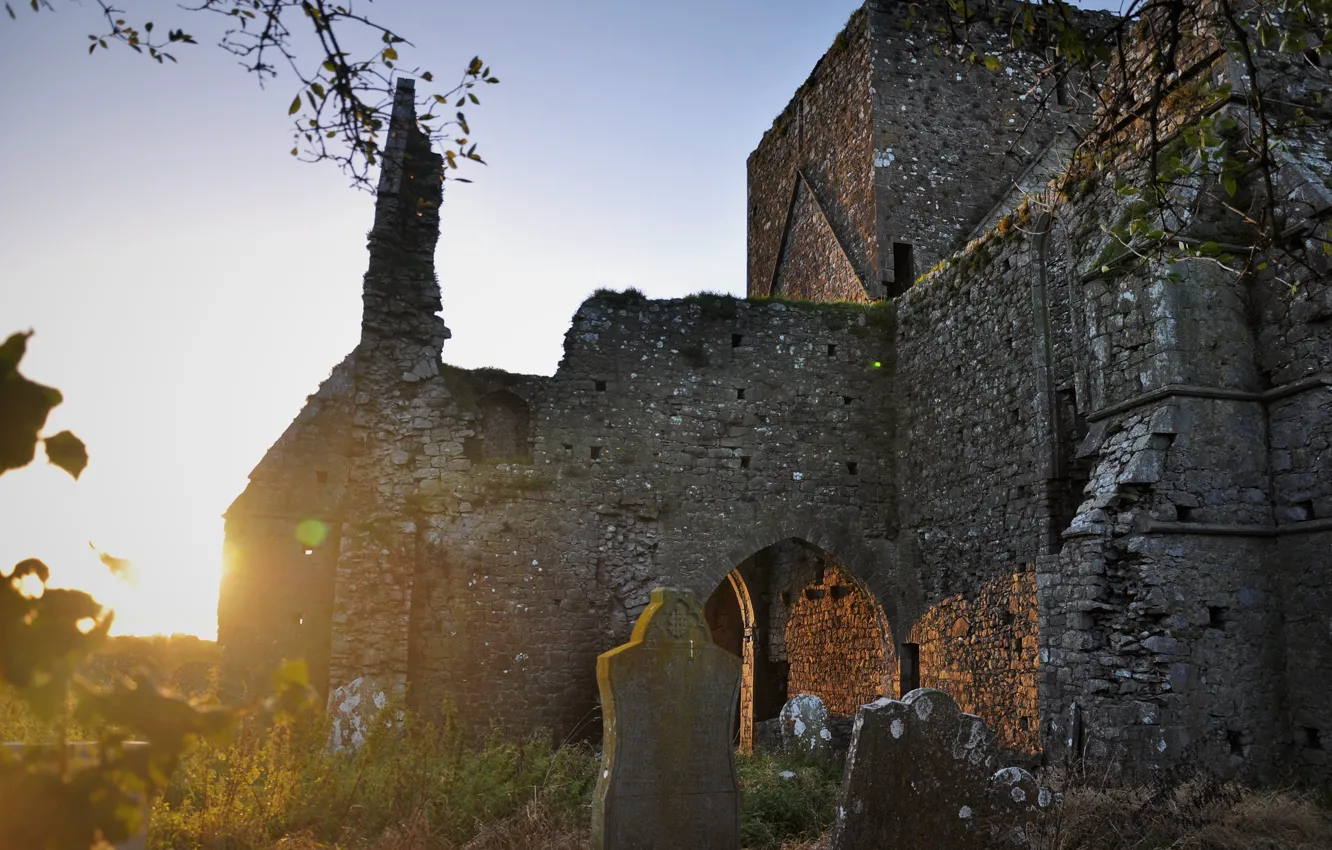 Photo wallpaper the sky, the sun, ruins, Ireland, headstone, Ireland, Gothic architecture, Hore Abbey