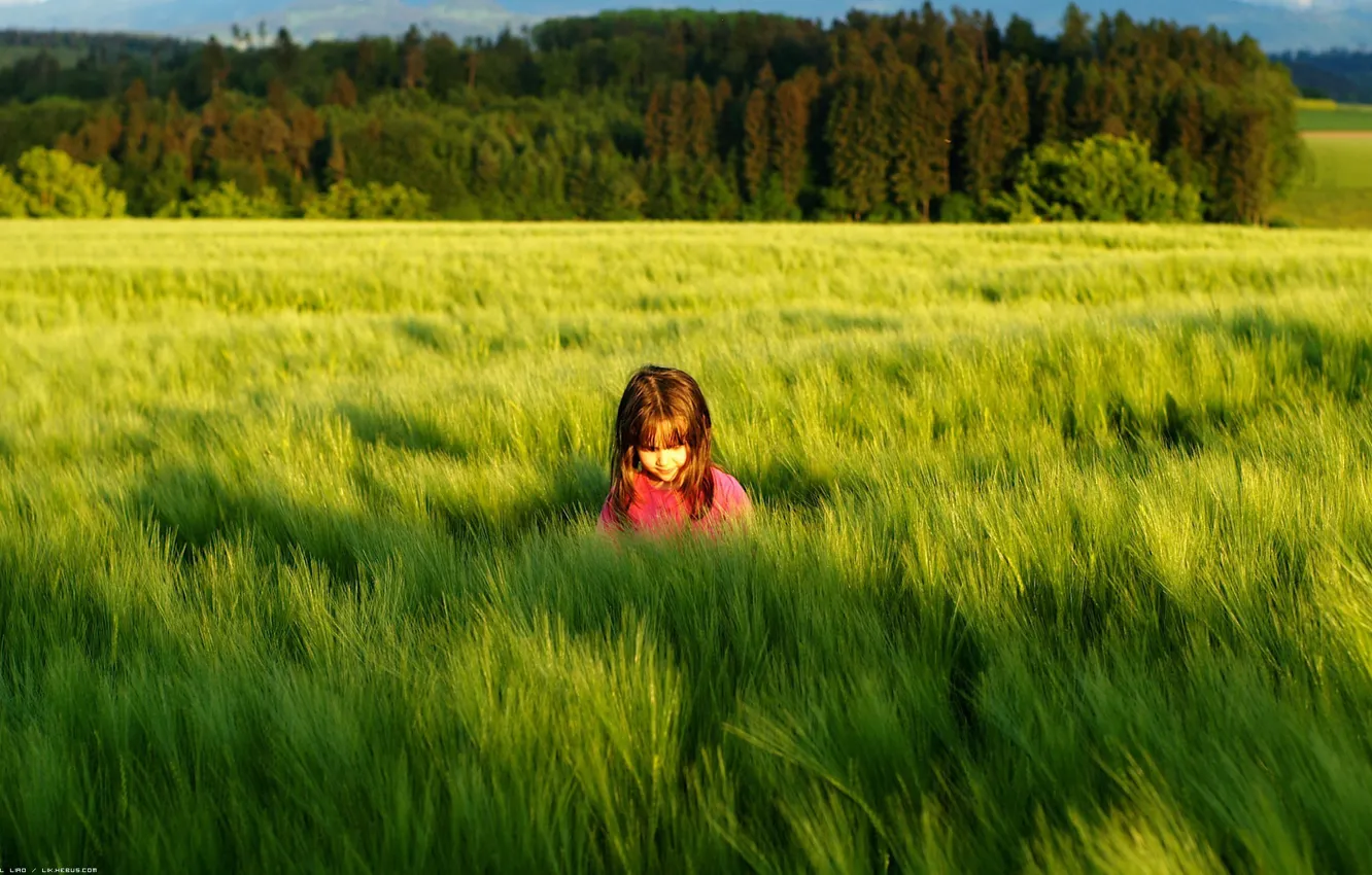 Photo wallpaper greens, grass, the sun, children, background, mood, shadow, meadow
