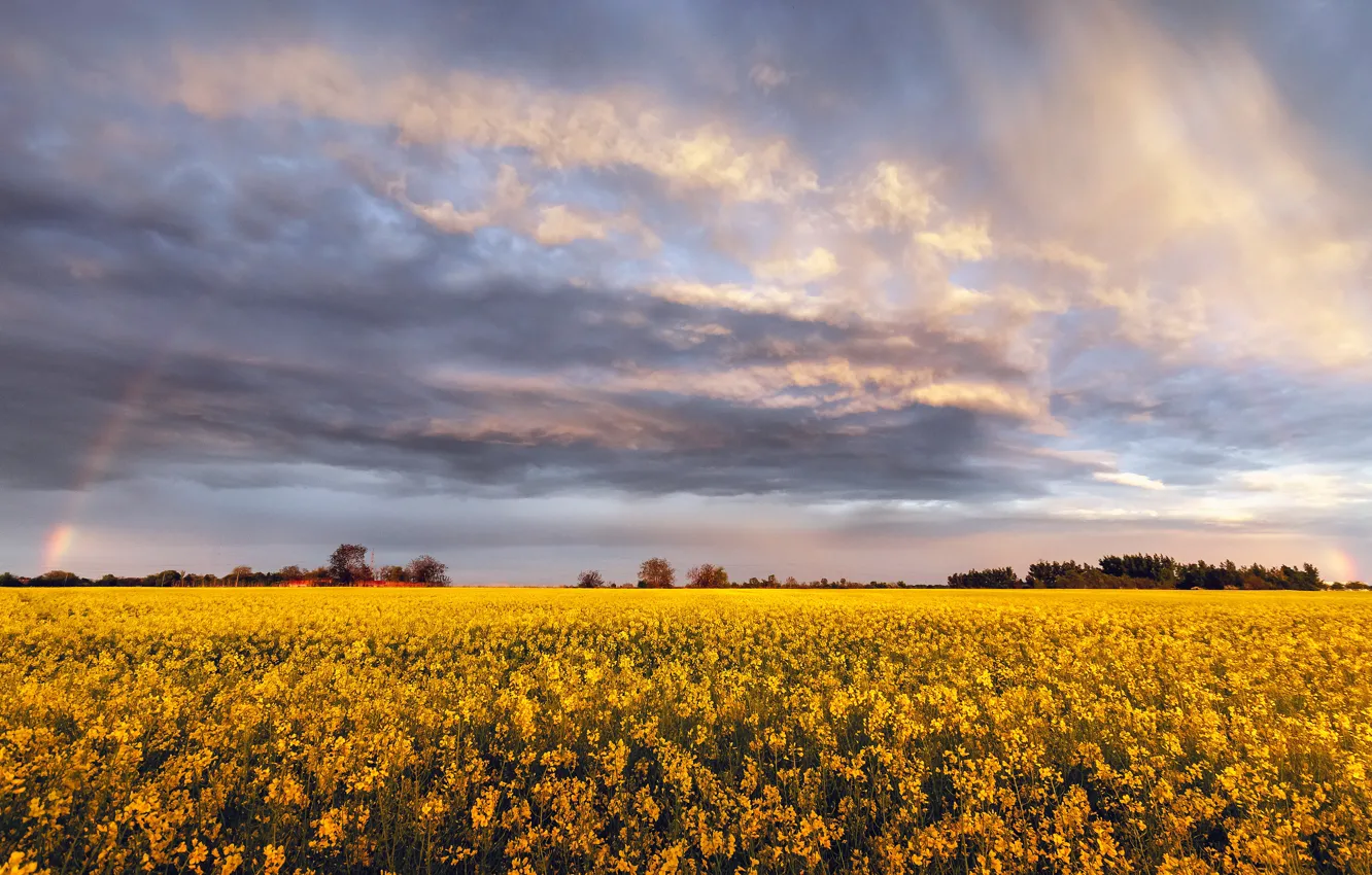 Photo wallpaper summer, the sky, clouds, flowers, clouds, rainbow, yellow, space