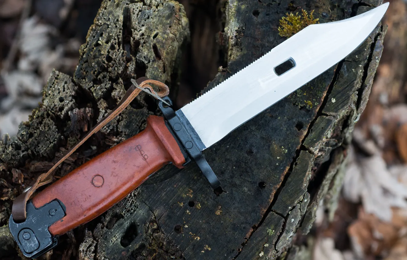 Photo wallpaper AKM, bayonet knife, Tula, Soviet Bayonet, Type II