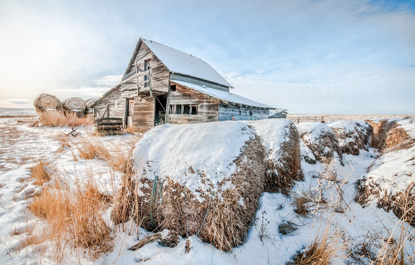 Photo wallpaper winter, snow, house, hay