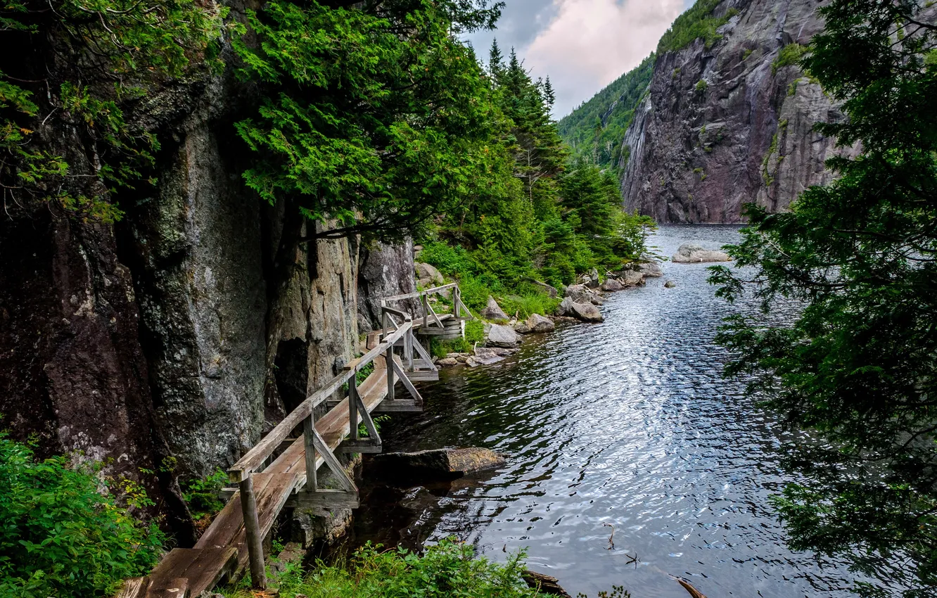 Photo wallpaper New York, USA, USA, New York, trail, Avalanche Lake, The trail, Avalanche Lake