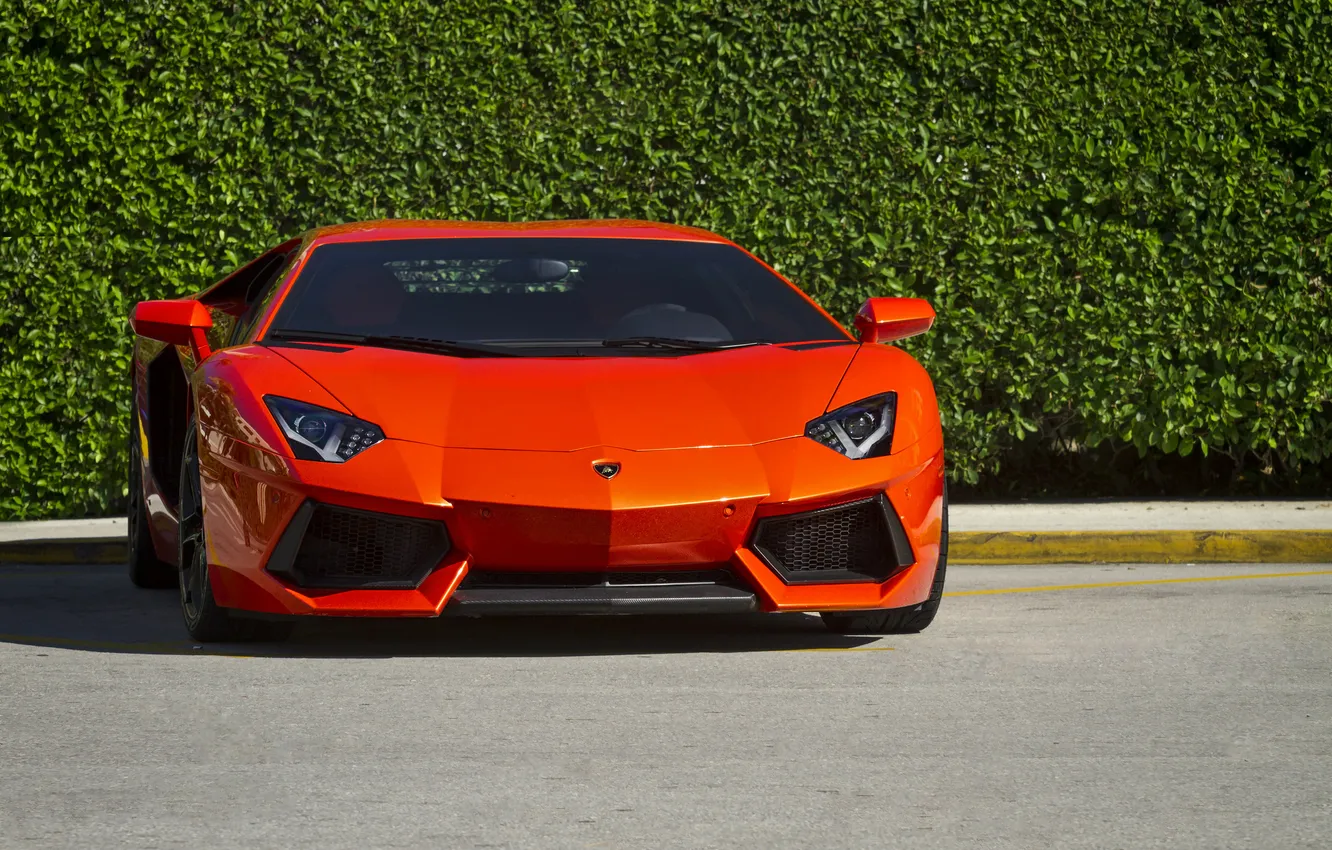 Photo wallpaper orange, shadow, Lamborghini, the front, orange, shrub, LP700-4, Aventador