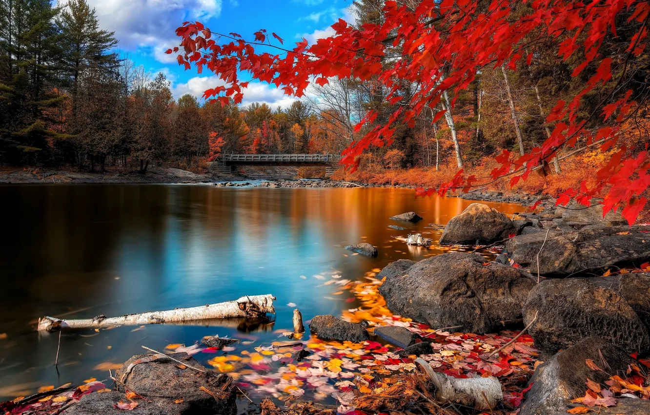 Photo wallpaper Autumn, Beauty, Lake