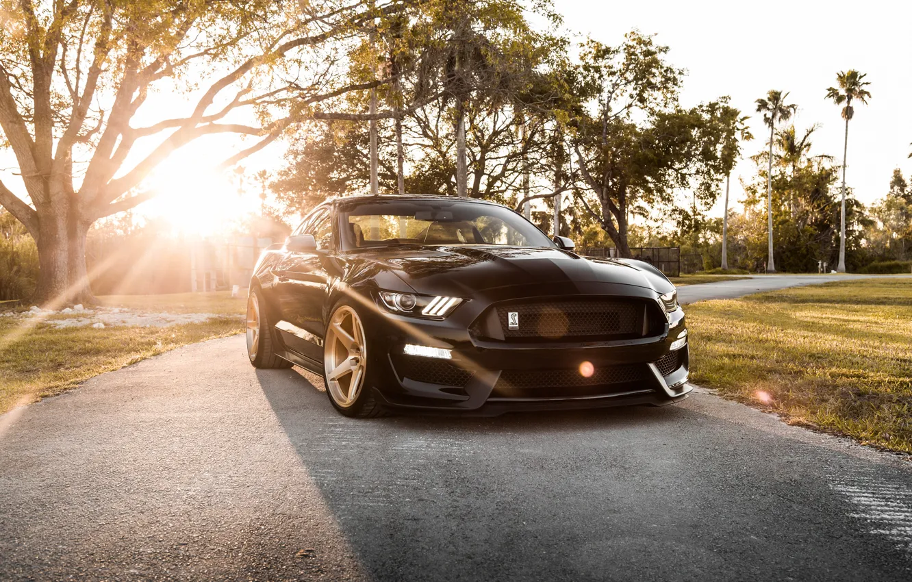 Photo wallpaper Mustang, Ford, Shelby, GT350, Ford Mustang Shelby GT350