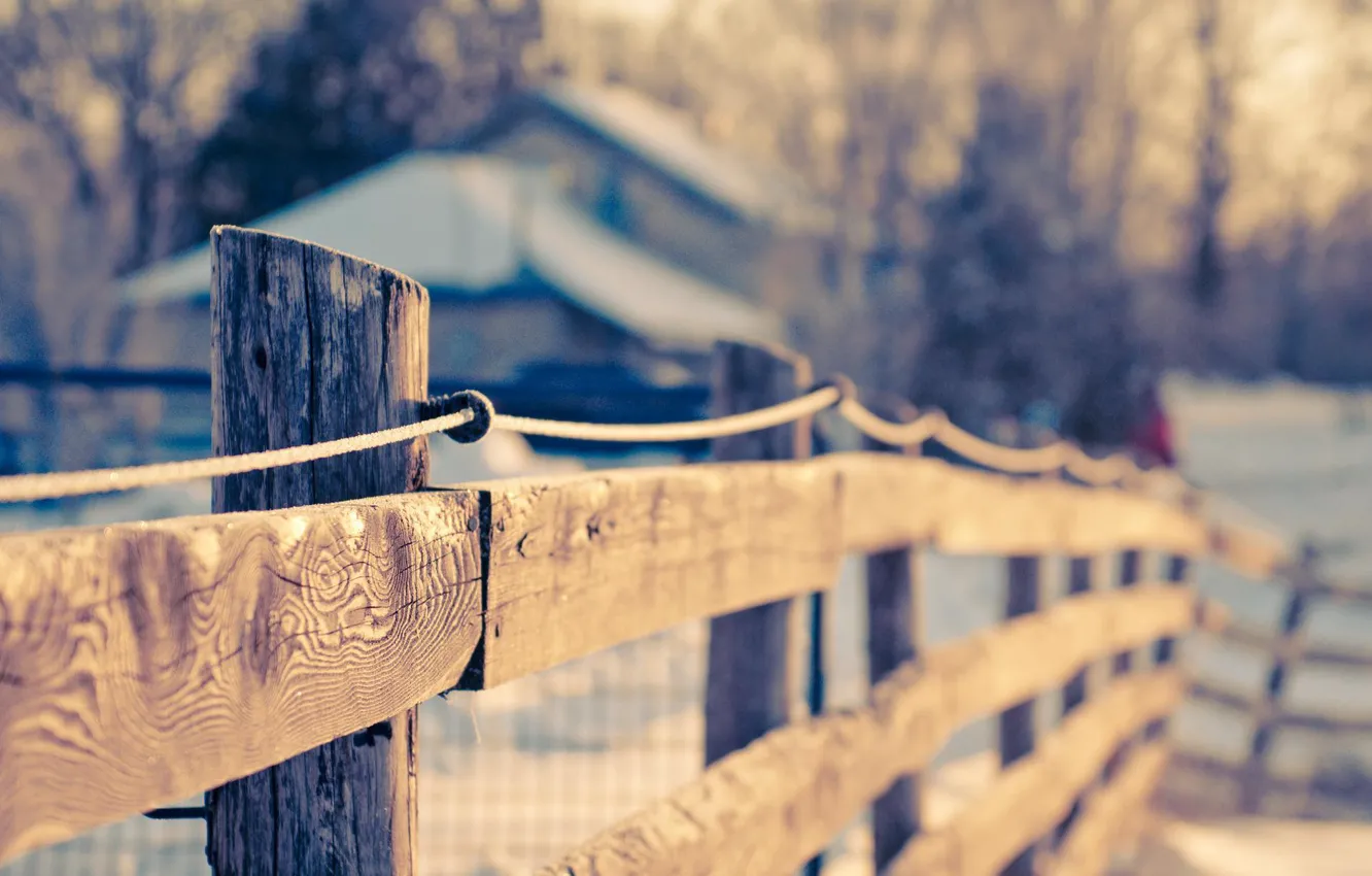 Photo wallpaper macro, background, widescreen, Wallpaper, the fence, blur, the fence, wooden