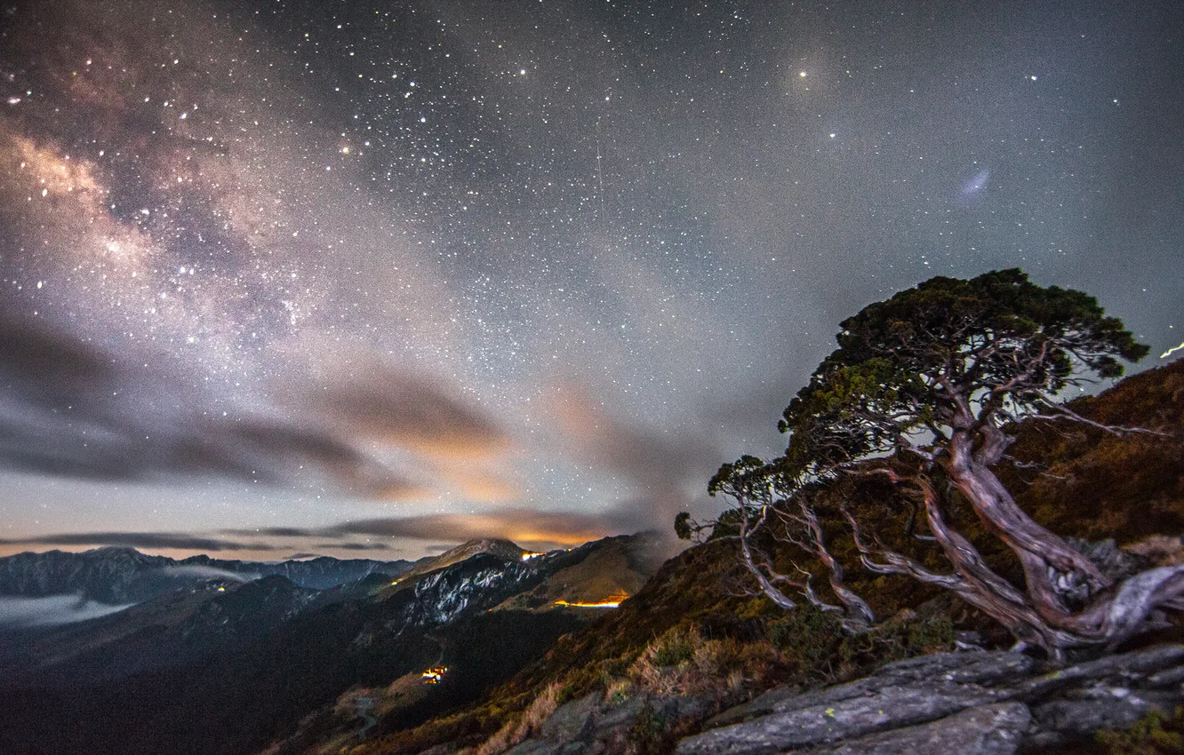 Photo wallpaper the sky, mountains, night, the milky way, pine