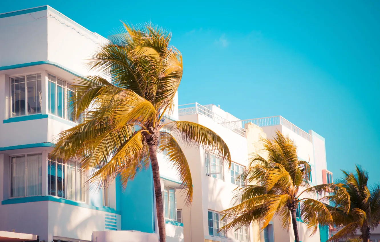 Photo wallpaper the sky, Palma, palm trees, stay, the building, the hotel