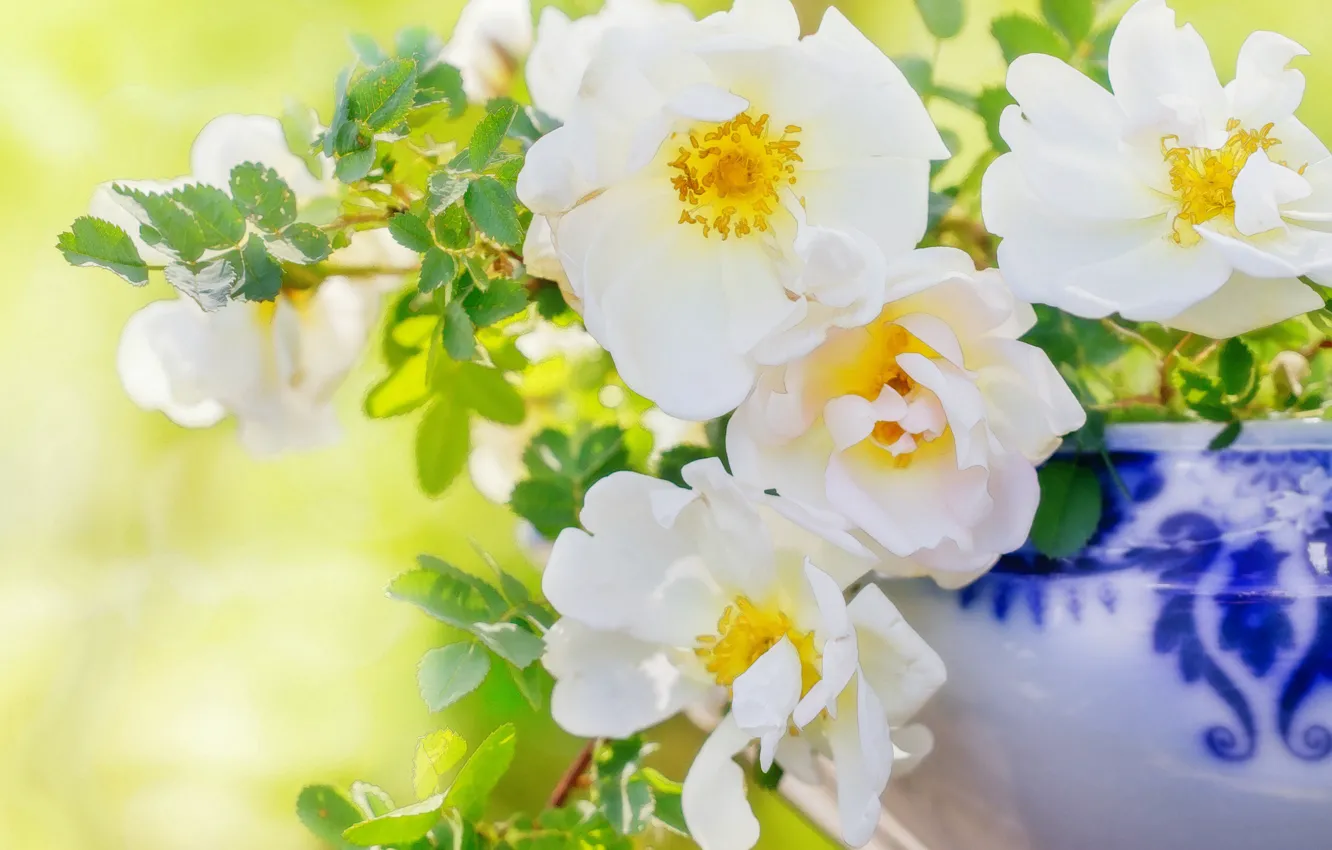 Photo wallpaper light, flowers, briar, vase, white