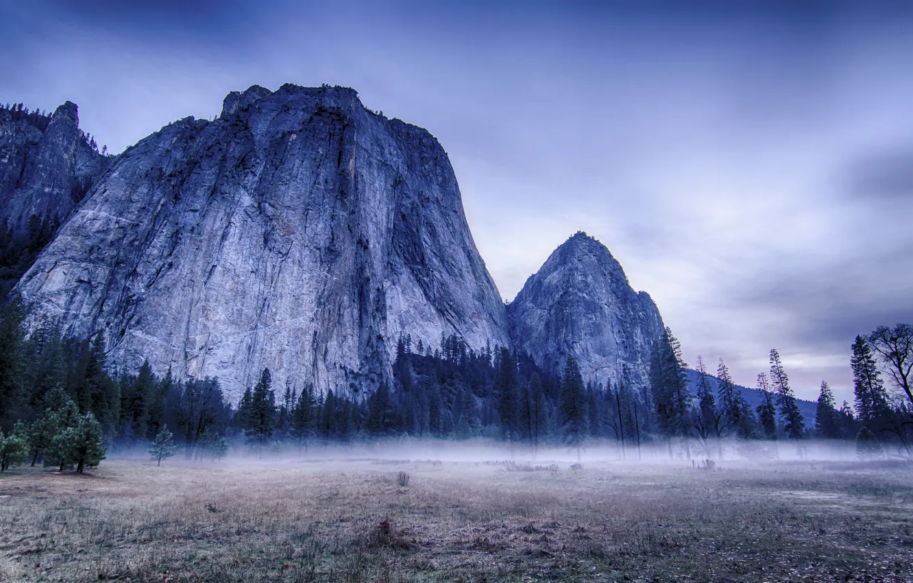 Photo wallpaper trees, landscape, mountains, nature, fog, USA, USA, Yosemite