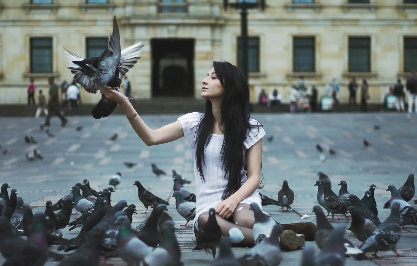 Photo wallpaper girl, street, pigeons