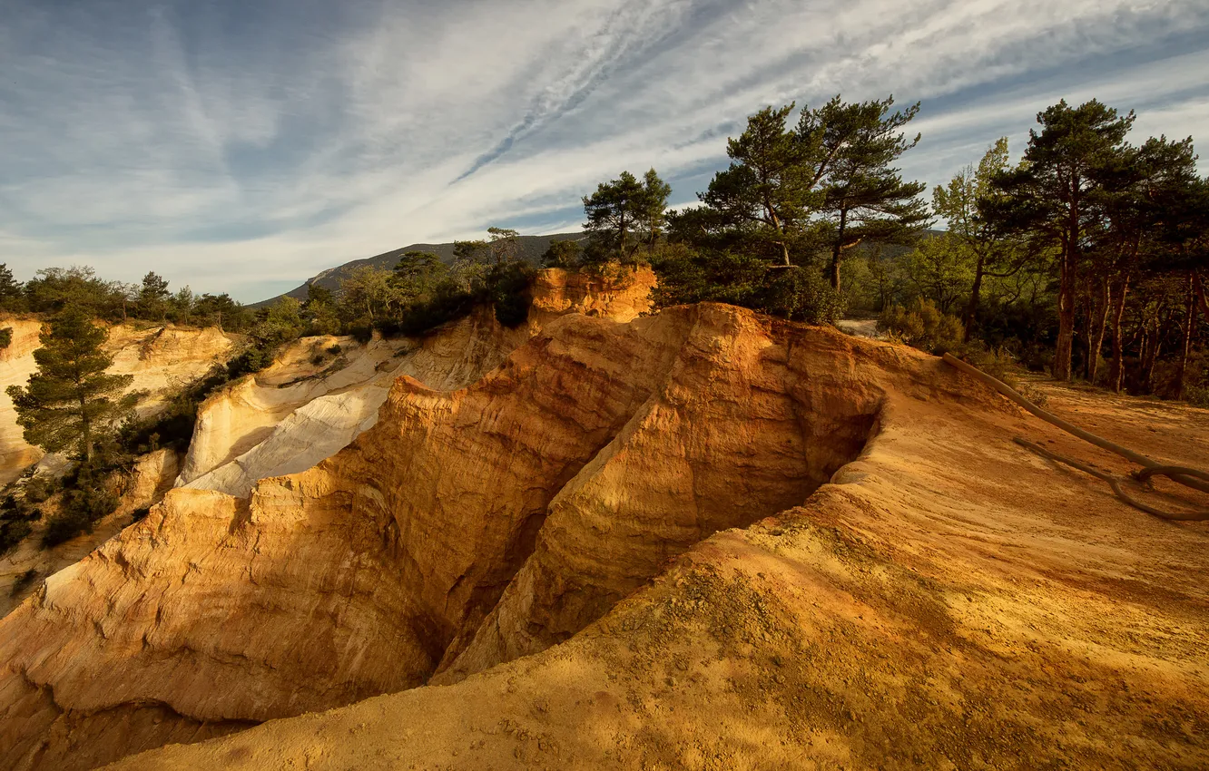 Photo wallpaper forest, the sky, trees, open, rocks