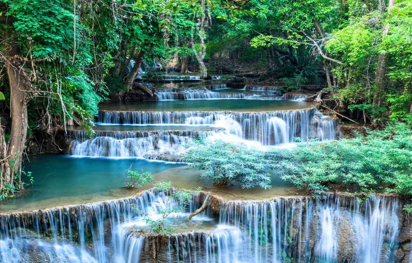 Photo wallpaper forest, river, waterfall, forest, river, landscape, waterfall, emerald