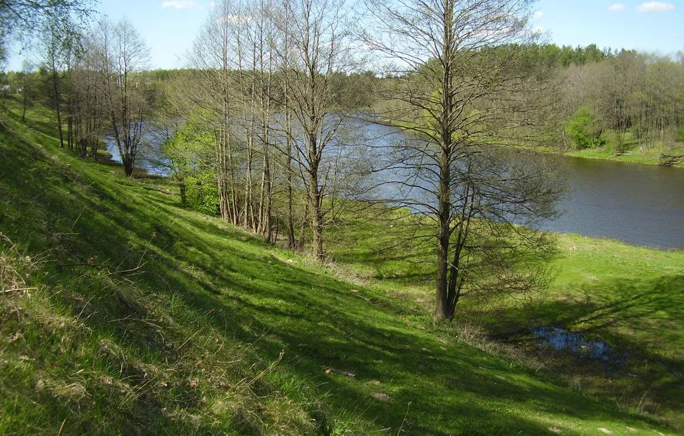 Photo wallpaper trees, river, spring, Belarus, Vilia