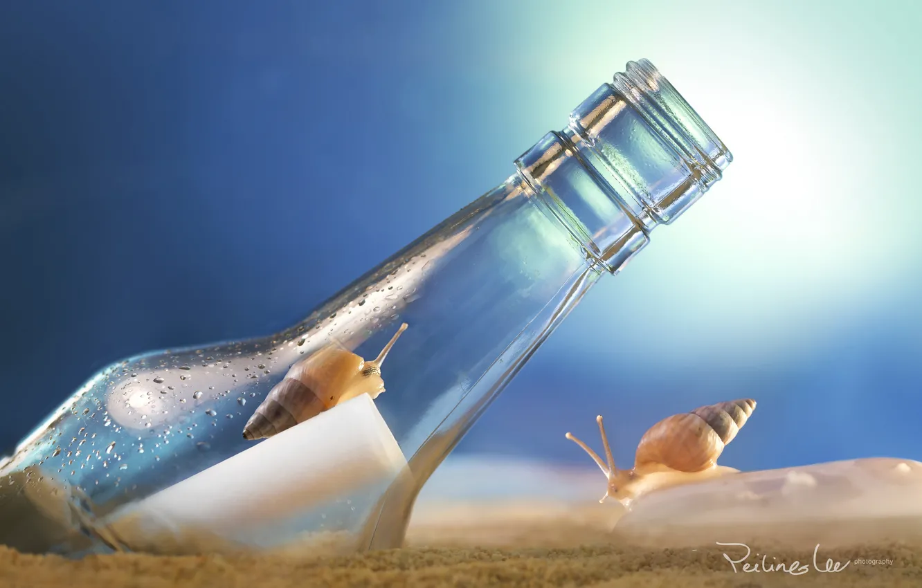 Photo wallpaper sand, two, bottle, snail, note