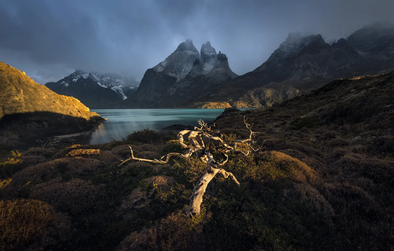 Photo wallpaper light, trees, mountains, lake, shore, haze, the bushes, crooked