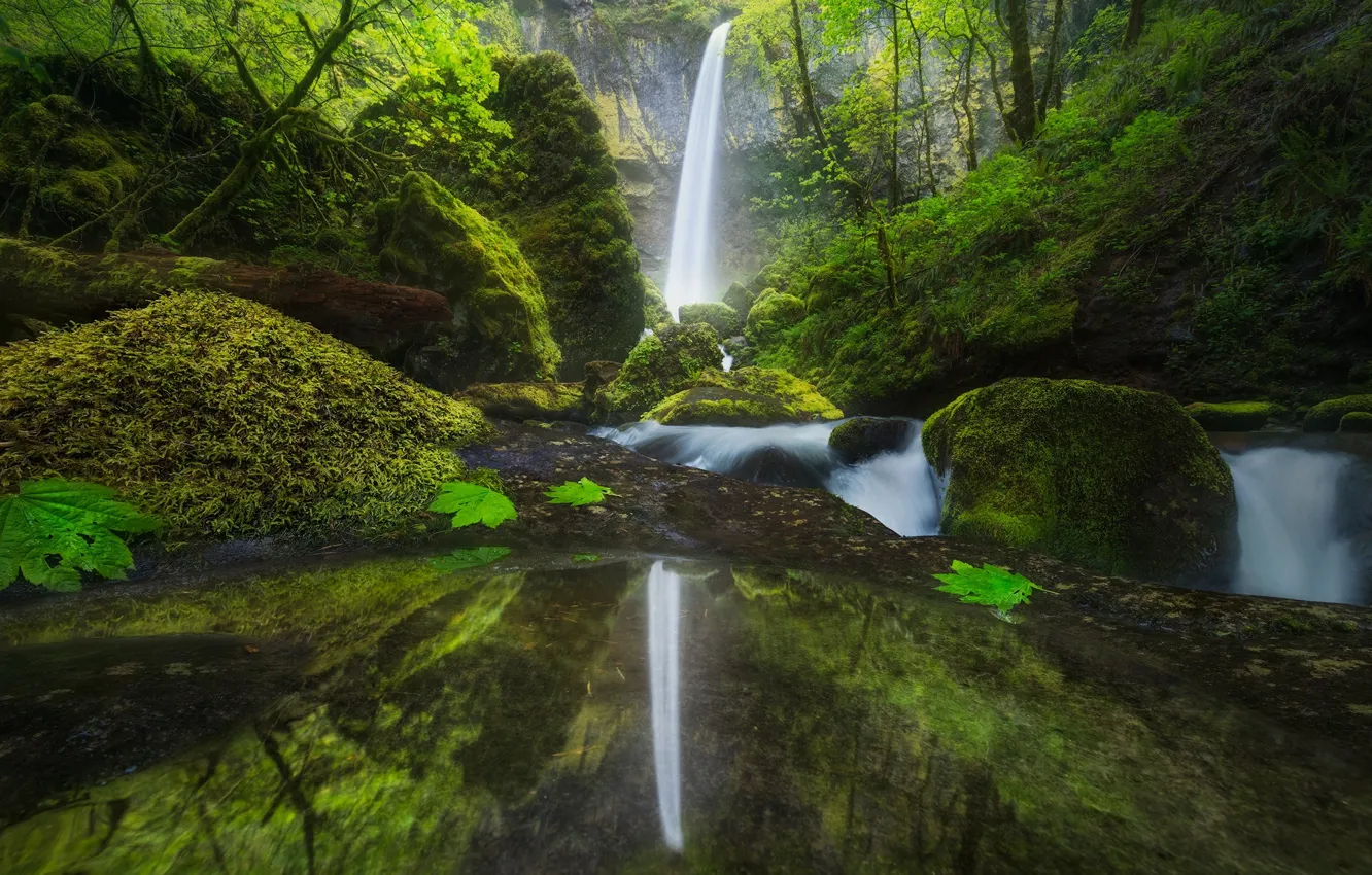 Photo wallpaper forest, nature, reflection, river, waterfall