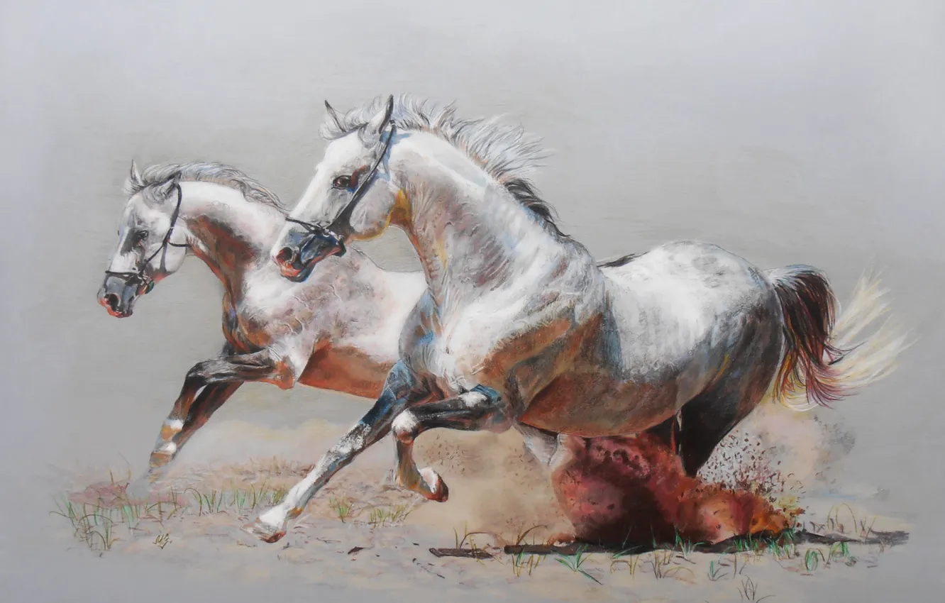 Photo wallpaper figure, horses, dust, horse, running, pair
