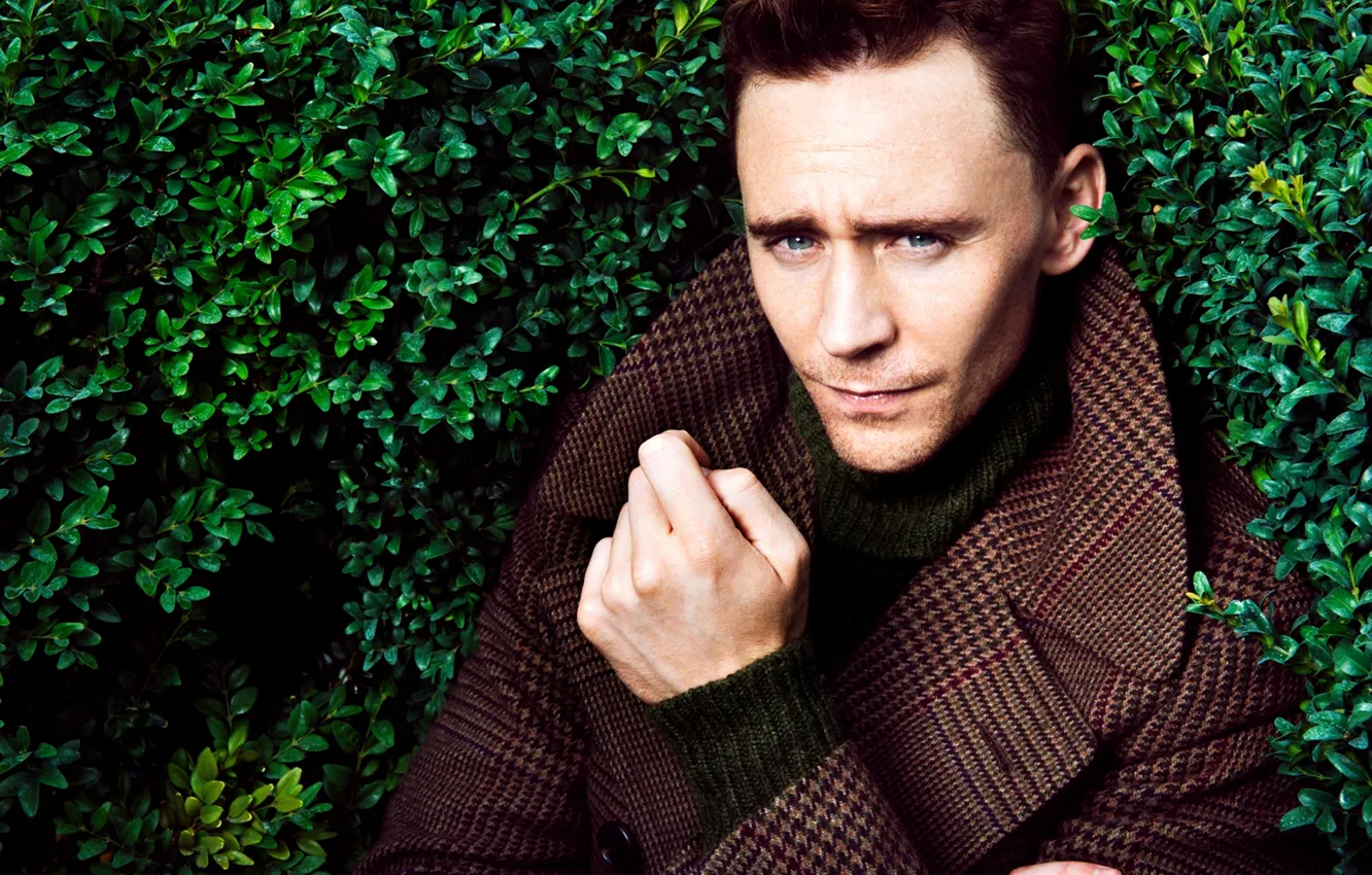 Photo wallpaper greens, actor, male, coat, the bushes, Tom Hiddleston, Tom Hiddleston