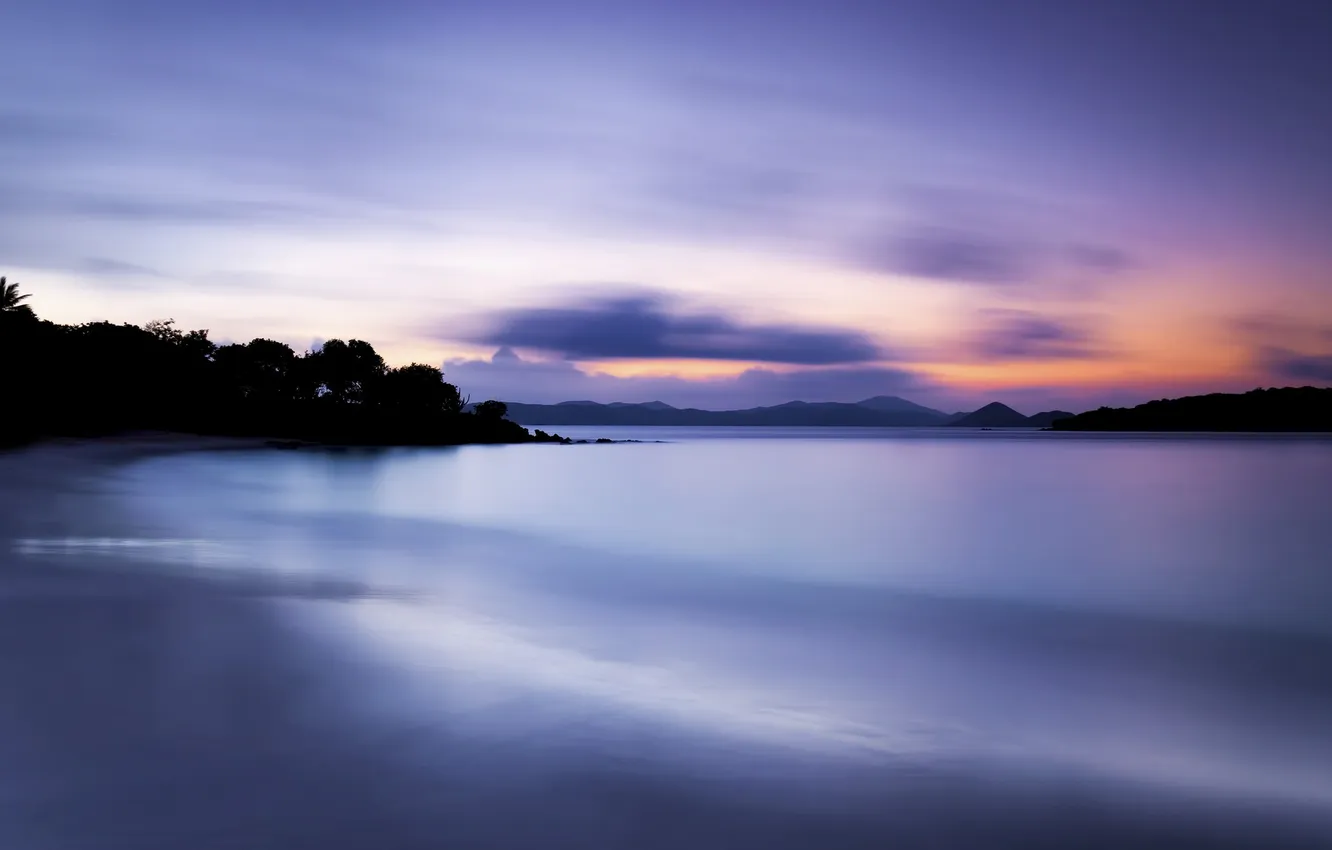 Photo wallpaper sea, beach, trees, night