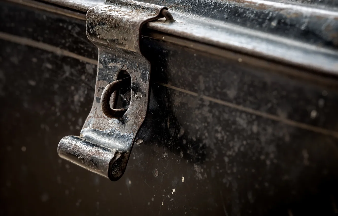 Photo wallpaper macro, background, chest