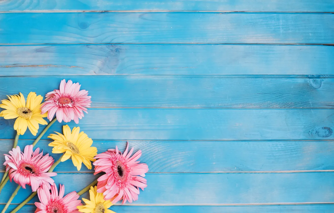 Photo wallpaper flowers, yellow, background, colorful, pink, gerbera, yellow, wood