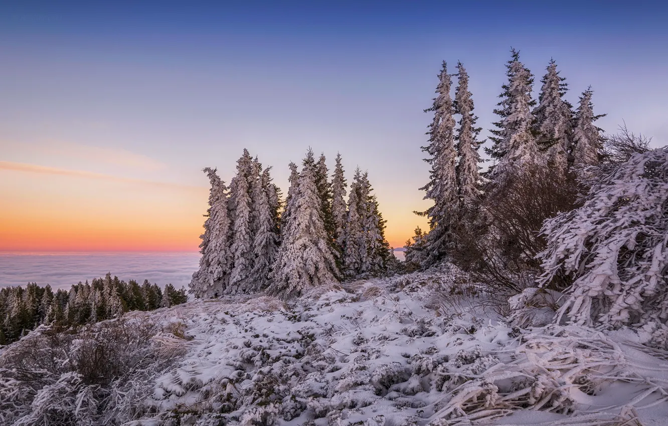 Photo wallpaper winter, clouds, snow, mountains, dawn, morning, ate, top