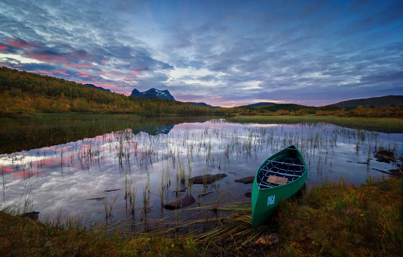 Photo wallpaper forest, the sky, grass, clouds, trees, sunset, mountains, lake