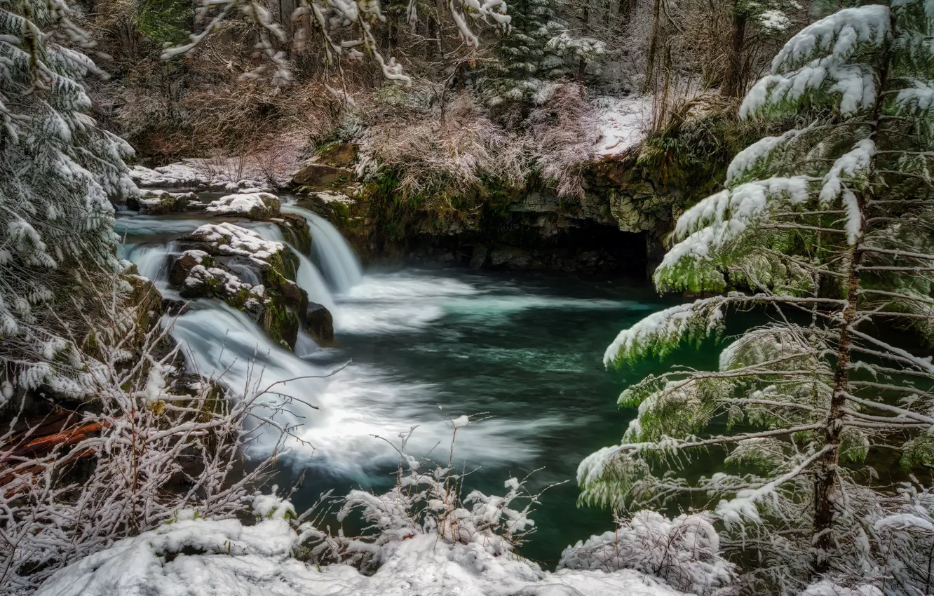Photo wallpaper winter, frost, forest, snow, nature, river