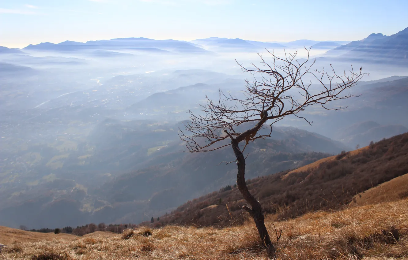 Photo wallpaper trees, landscape, mountains, nature, city, the city, fog, loneliness
