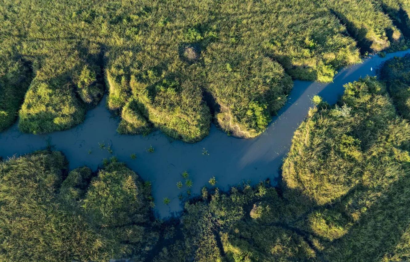 Photo wallpaper grass, nature, river, stream, plant, the view from the top, relief