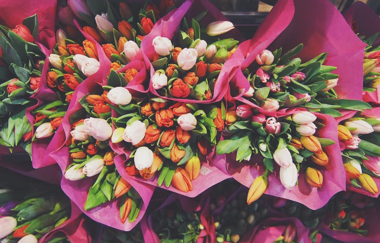 Photo wallpaper flowers, tulips, bouquets