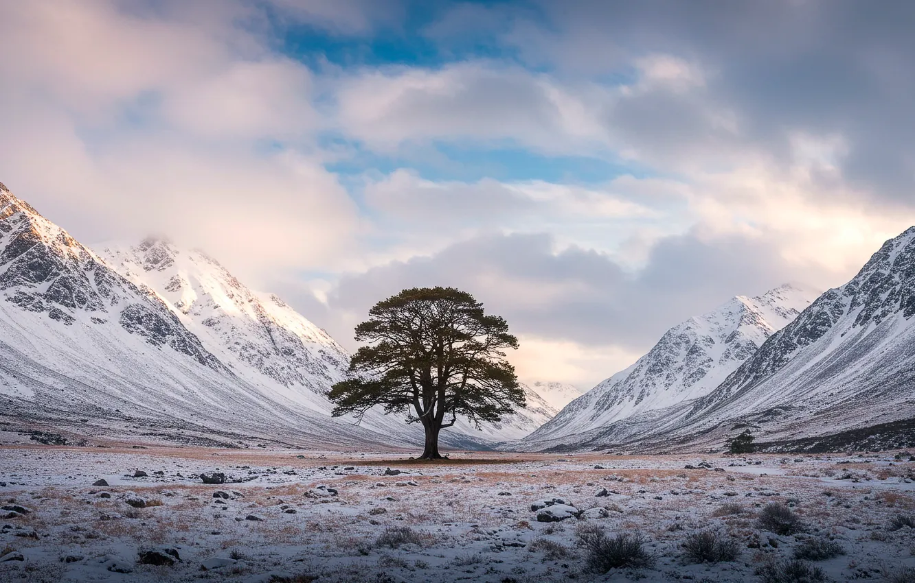 Photo wallpaper winter, snow, trees, mountains
