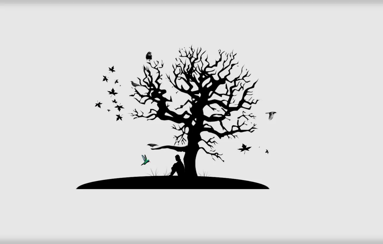 Photo wallpaper sadness, leaves, trees, bird, minimalism, black and white