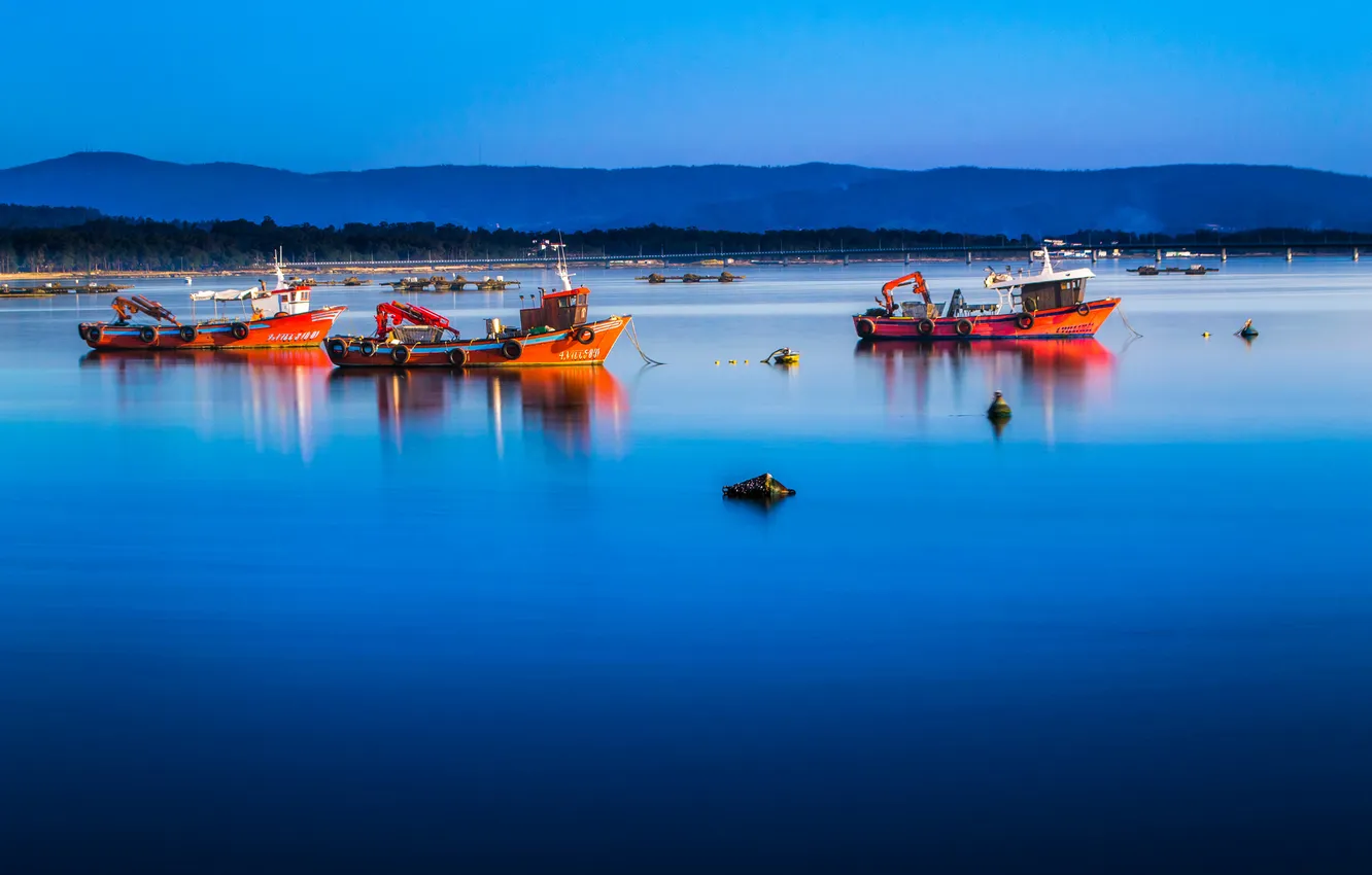 Photo wallpaper sea, the sky, trees, mountains, dawn, ship, Bay, morning