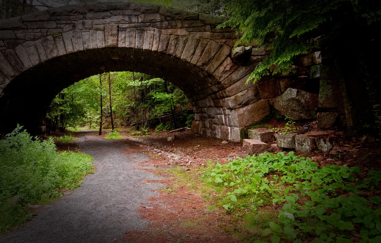 Photo wallpaper greens, grass, bridge, nature, roadside