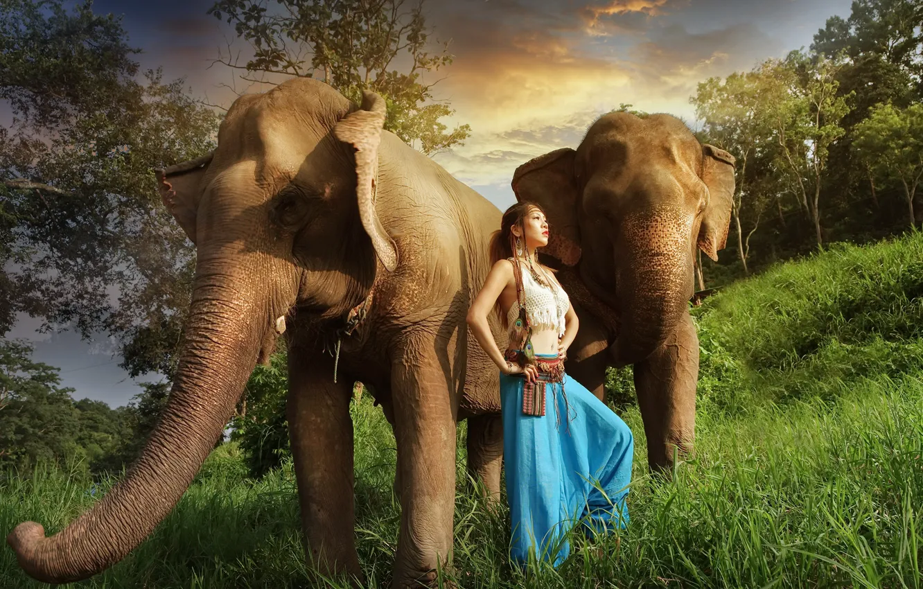 Photo wallpaper girl, Asian, elephants